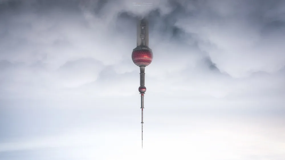 Zhang, Steve: Lollipop.