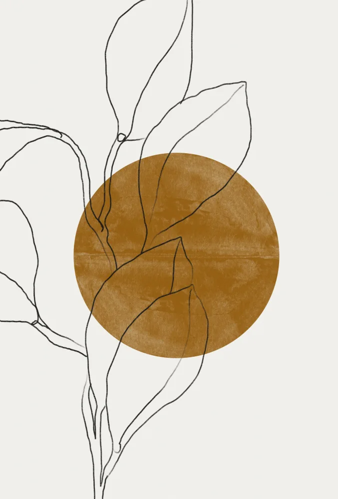 Studio, Miuus The: Flower and Sun