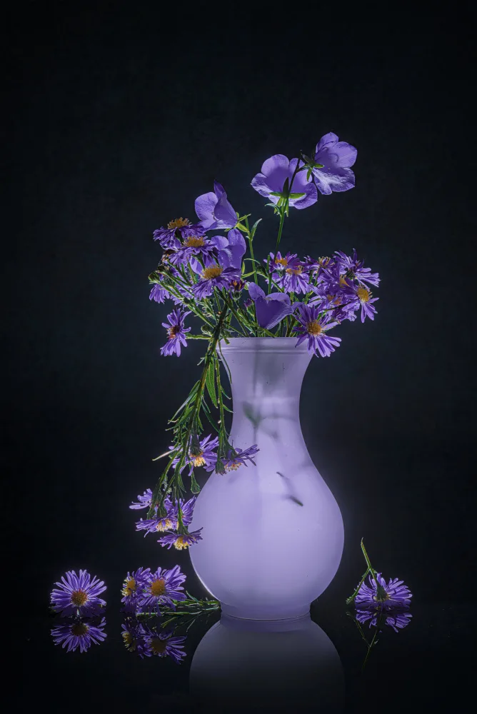 Jacobs, Lydia: Aster e campane di pesca