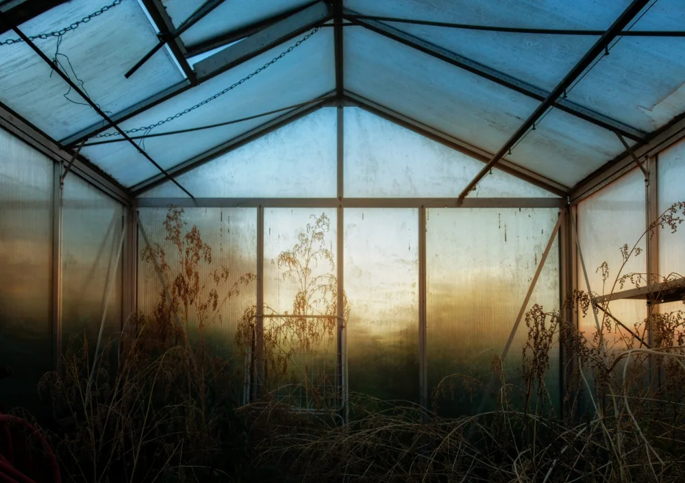 Günther, Hans: The greenhouse