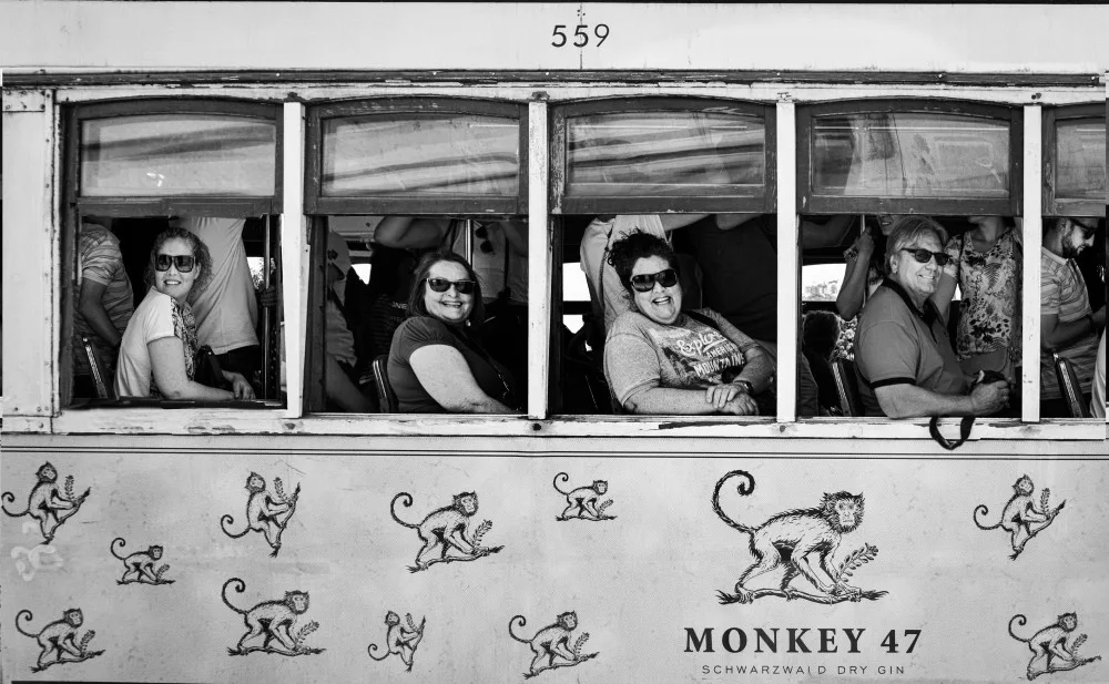 Lyons, Jane: Monkeys