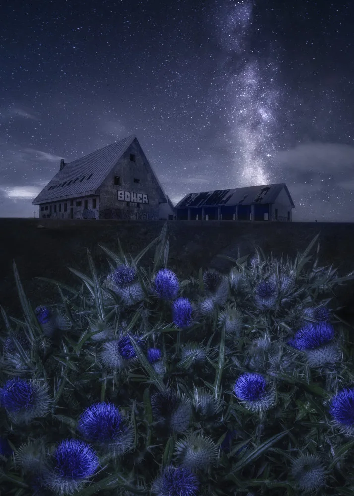 Osuna, Fran: Blue night
