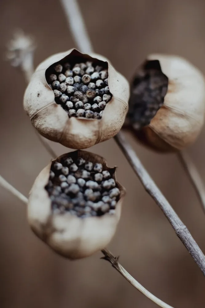 Treechild: Petits paniers