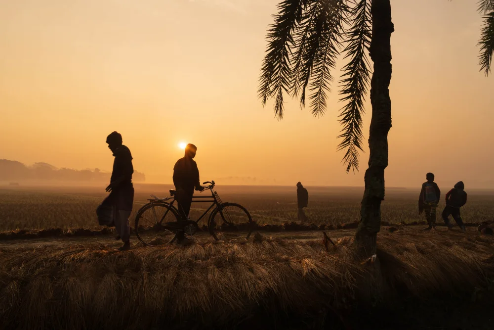 Arifuzzaman, Md.: Winter in Kashimpur.