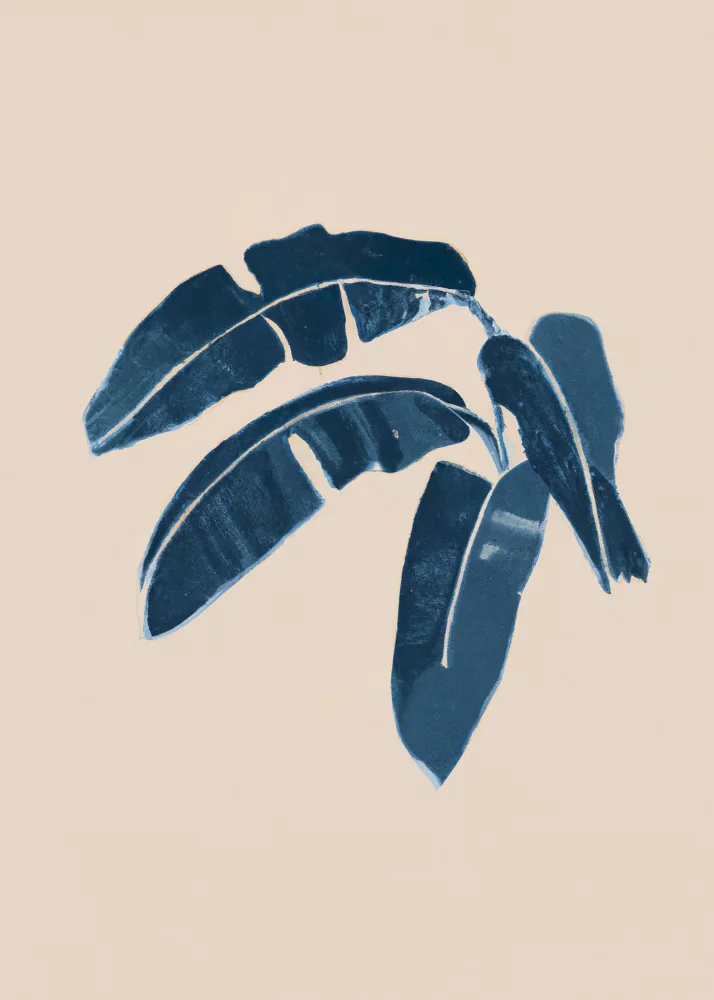 Takken, Merel: Palm Indigo