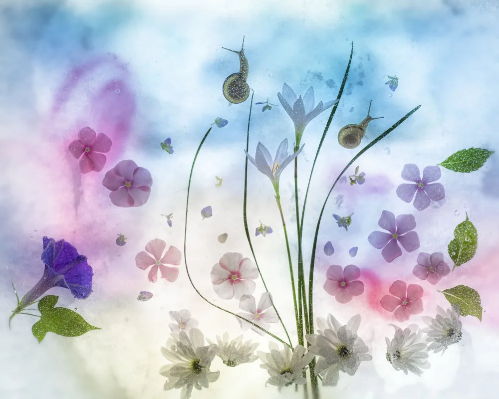 Miharu: september blue poetry