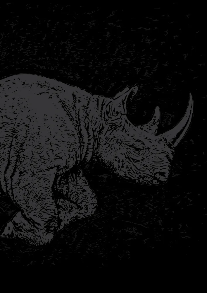 Kaminski, Carlo: Black Rhino Charging
