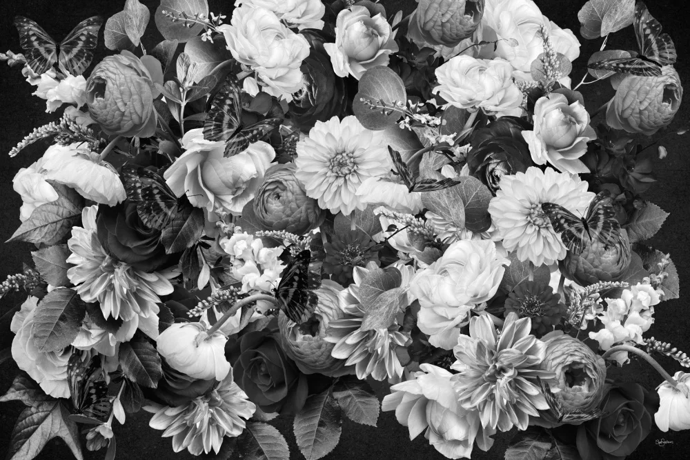 Skellern, Sue: Evening Wal Black & White