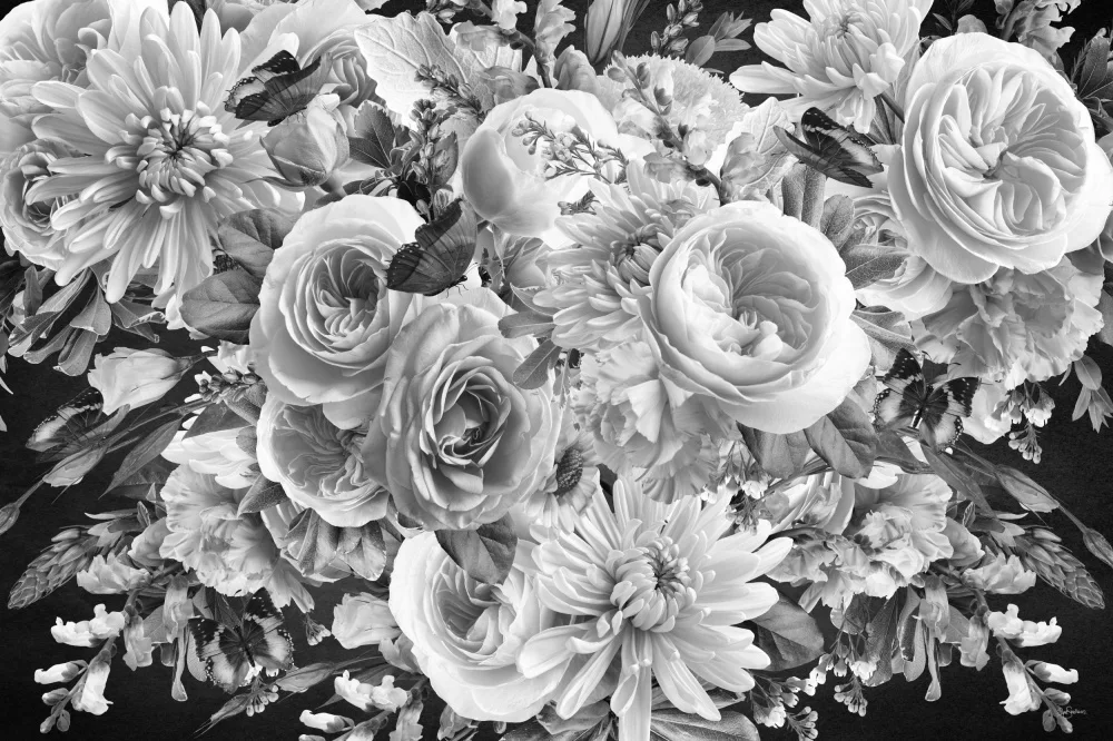 Skellern, Sue: Morning Blooms Black & White