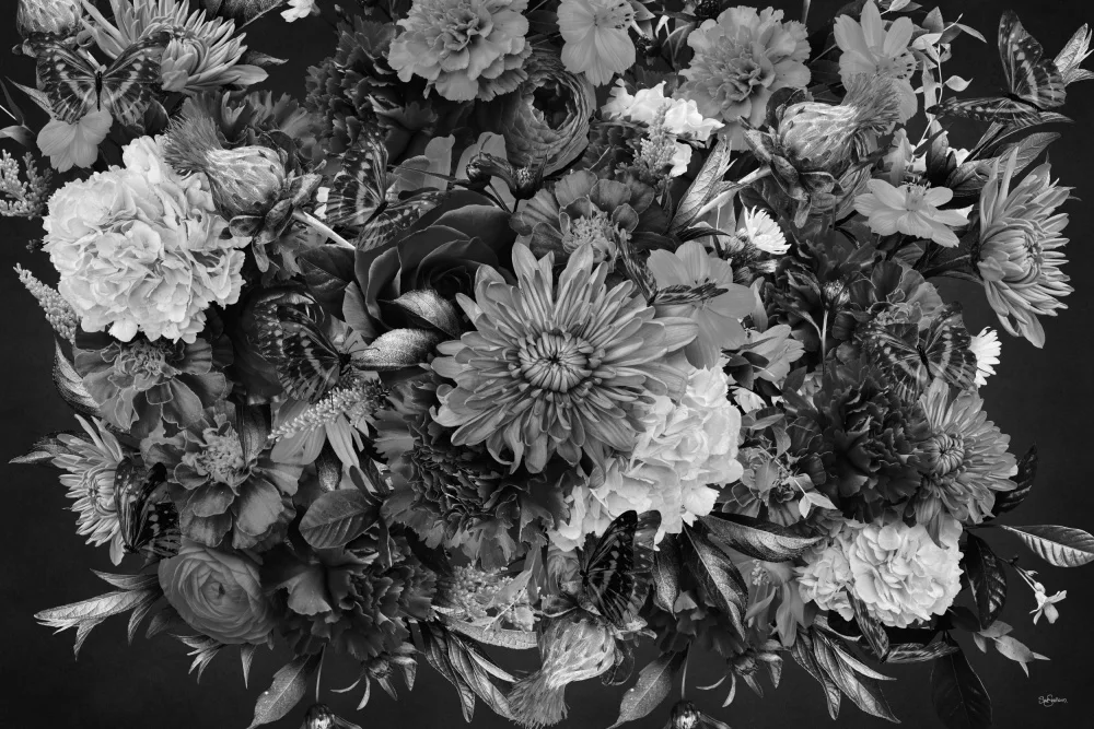 Skellern, Sue: Sunset Sunrise Black & White