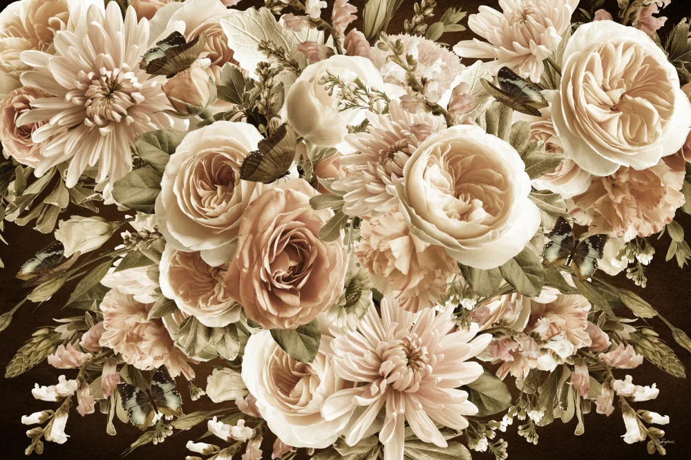 Skellern, Sue: Morning Blooms Sepia