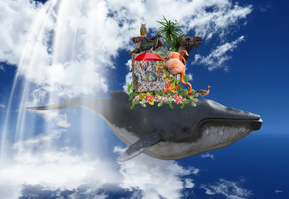 Skellern, Sue: Floppy the Whale