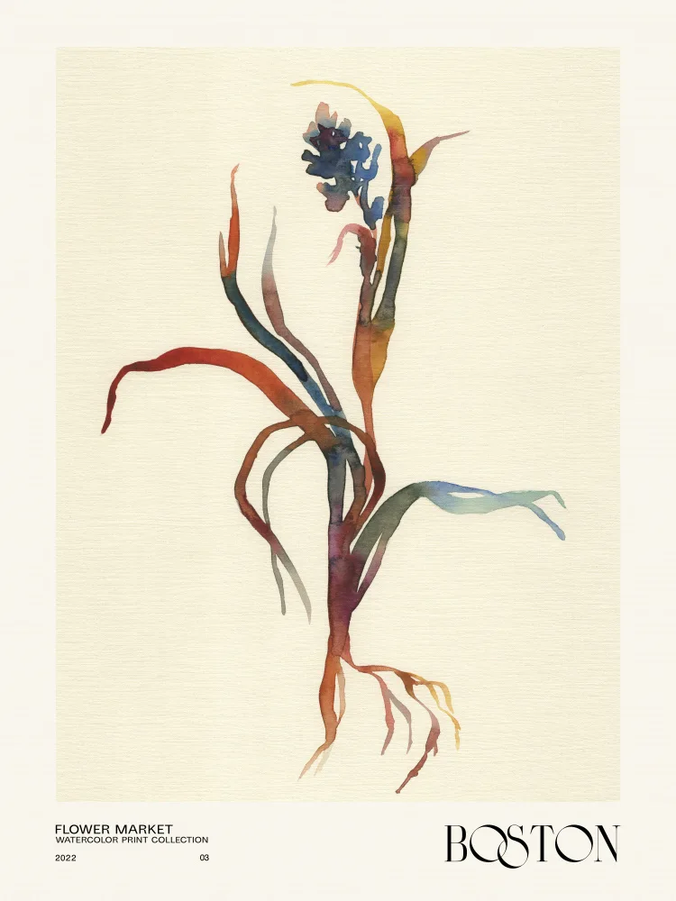 NKTN: Watercolor print collection. Flower market - Boston