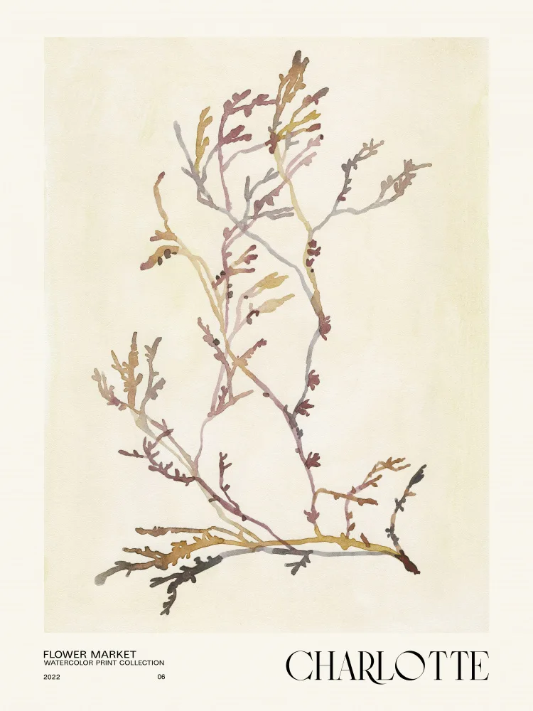 NKTN: Watercolor print collection. Flower market - Charlotte