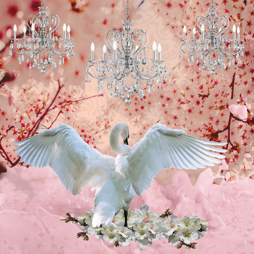 Skellern, Sue: Champagne Swan