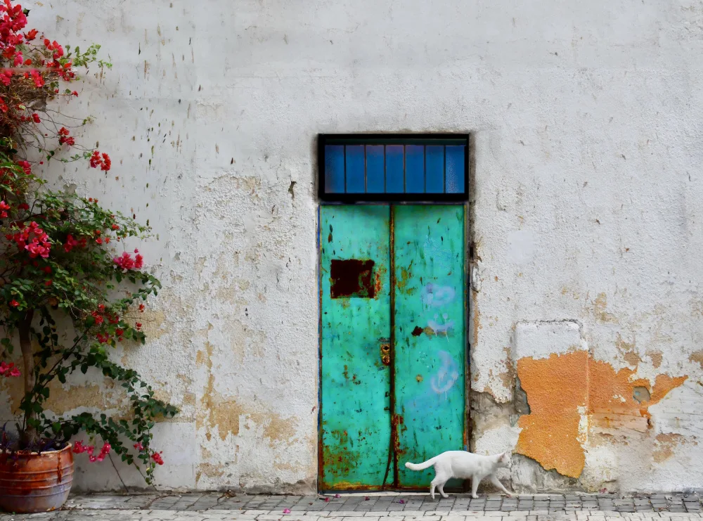 Orbach, Arnon: Facade - Old Jaffa