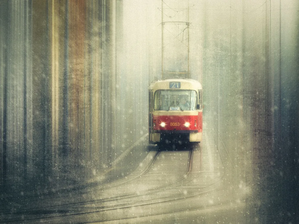 Cavallo, Rico: Winter