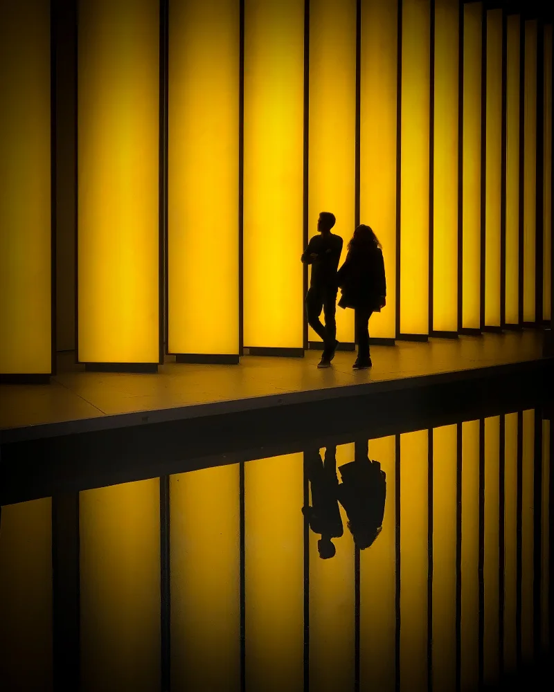 Bashlian, Raffi: Light, silhouettes and reflections
