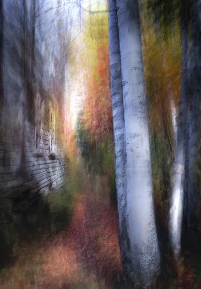 Deng, Larry: Autumn is coming