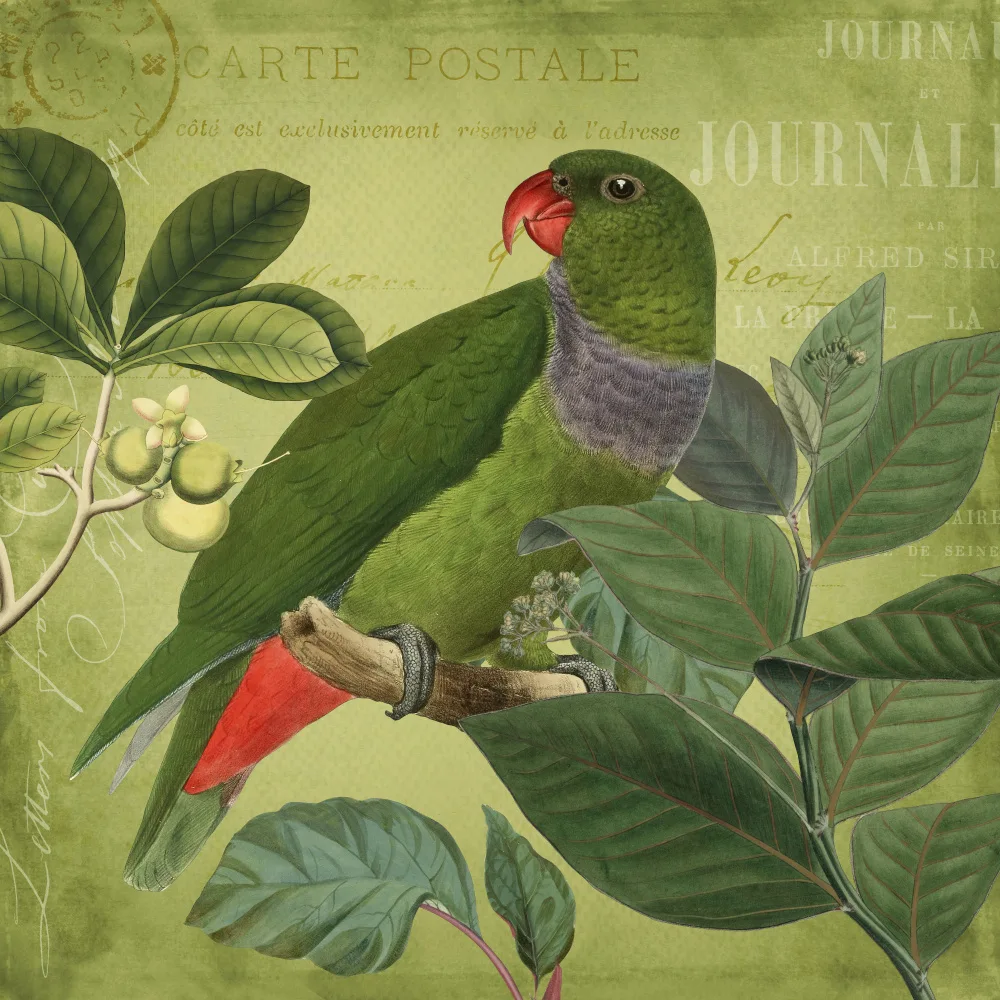 Haase, Andrea: Vogelparadiesgarten II