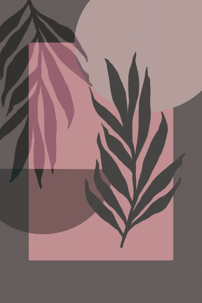 Haase, Andrea: Natur trifft auf Geometrie 1 2