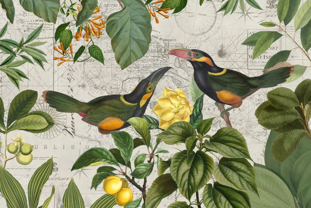 Haase, Andrea: Viaje nostálgico de los loros 2