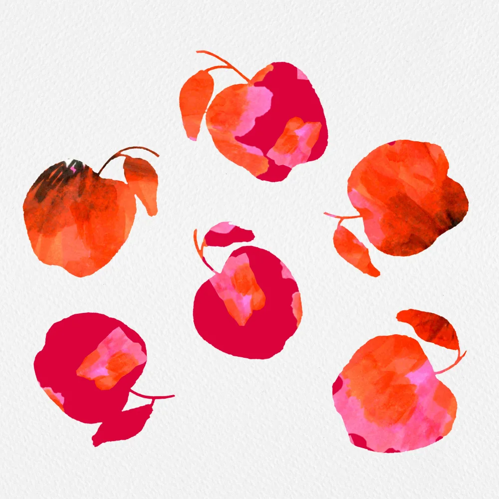 Channell, Michele: Apple  Chiffon Pink Orange