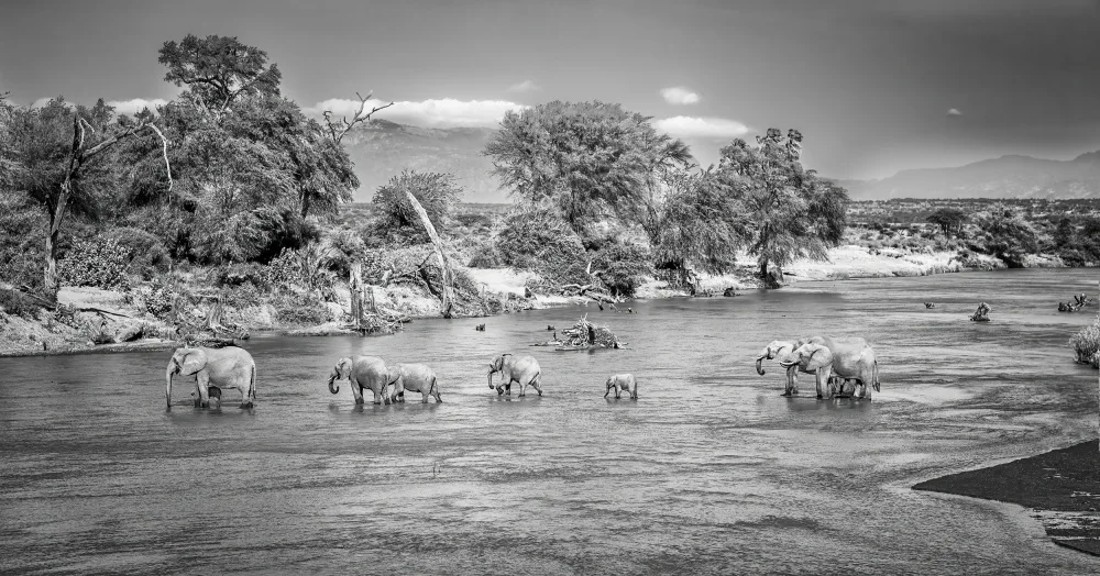 Sink, C. Jeffrey: Incredible Samburu