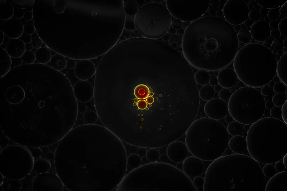 Danilov, Vladislav: Virus
