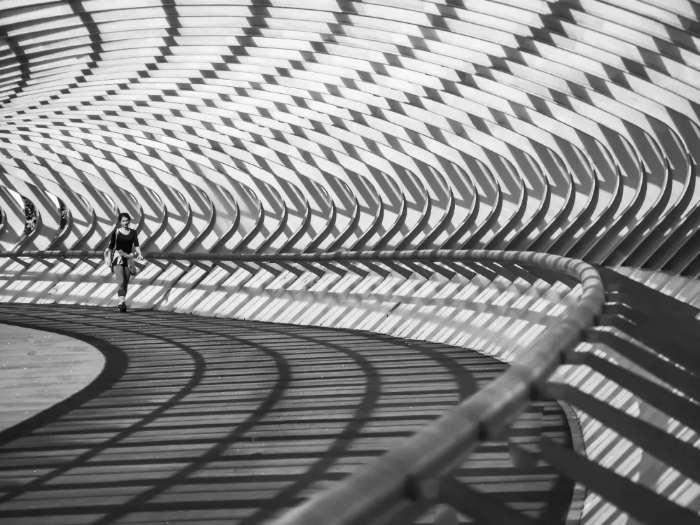 Navea, Alberto: PUENTE DE ESCAMAS