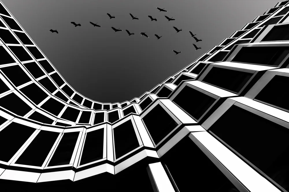 Endermann, Rolf: Overflight