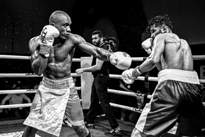 Mohammadi, Reza: Boxing ll