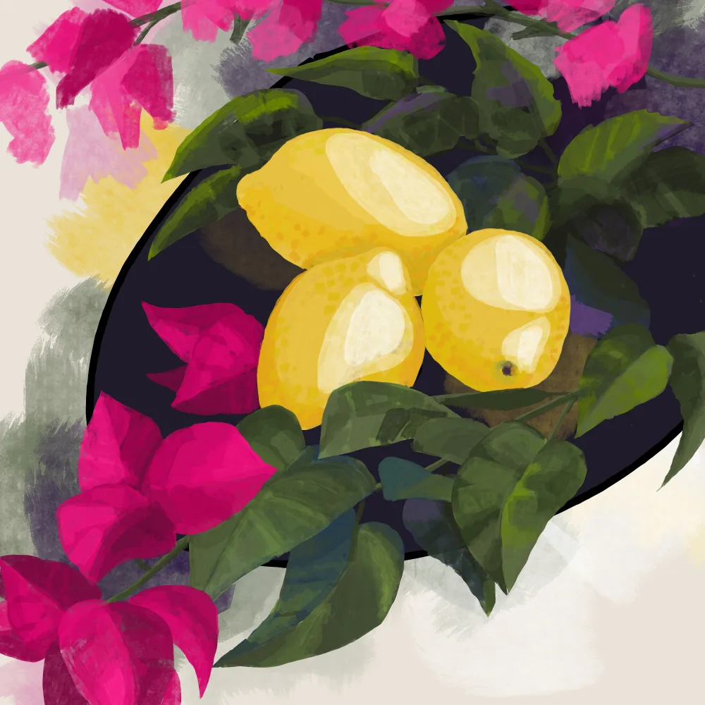 Blursbyai, Laiz Rosana: Bougainvillea a citrony
