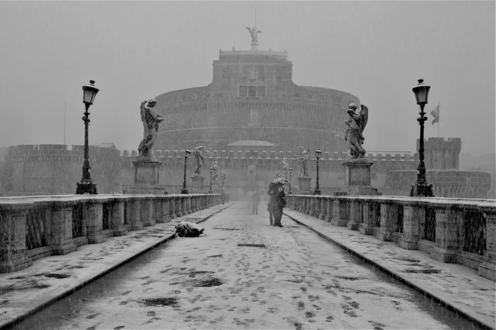 Orienti, Barbara: Untitled