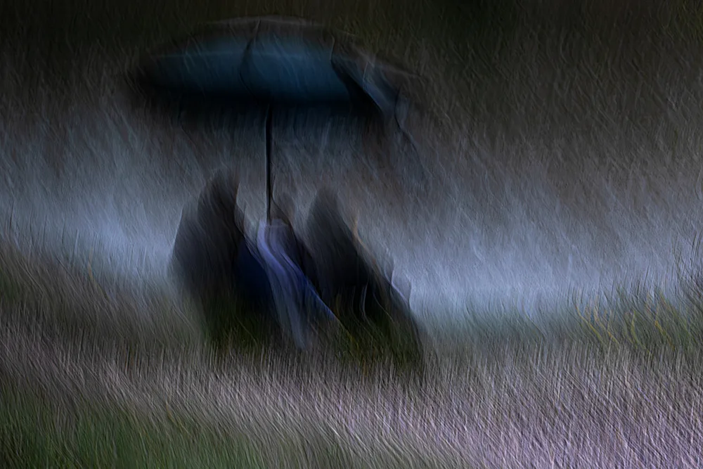 Stelzer, Roswitha: Rainy Day