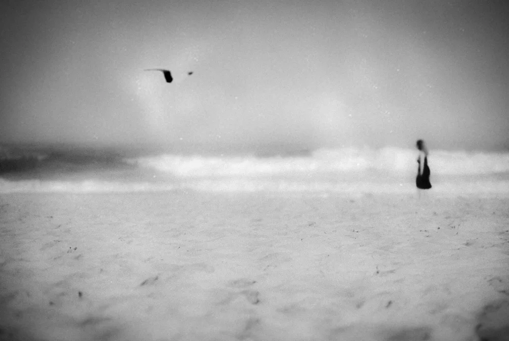 Seita, Milena: From The Morning