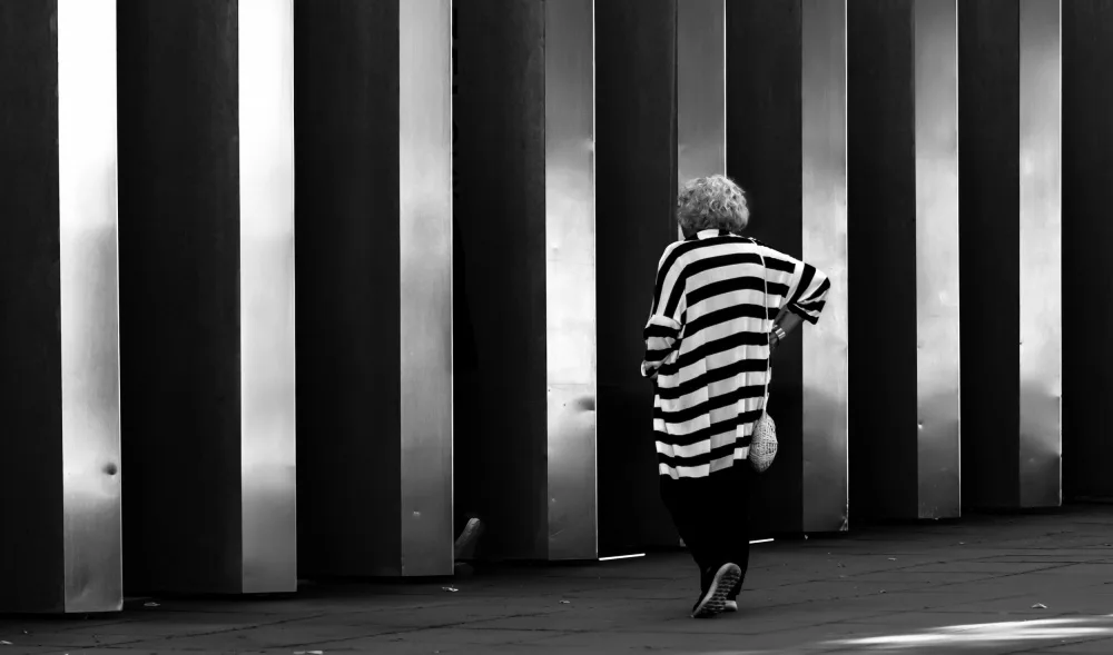 Niemiec, Anna: Striped