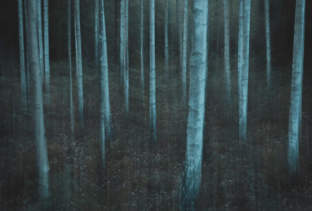 Lindsten, Christian: ICM v3