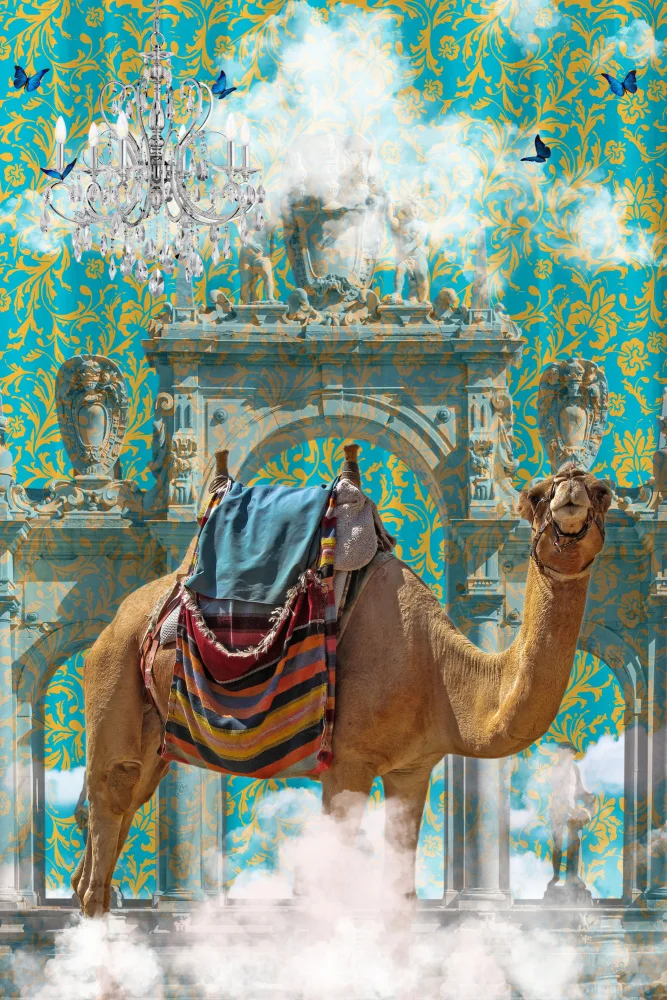 Skellern, Sue: Camel Adventures