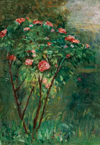 Caillebotte, Gustave: Le rosier fleuri
