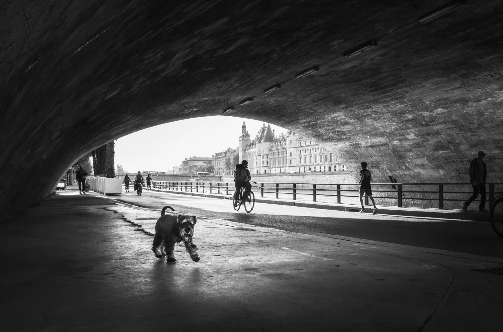 Prioteasa, Sebastian: Morning Walk