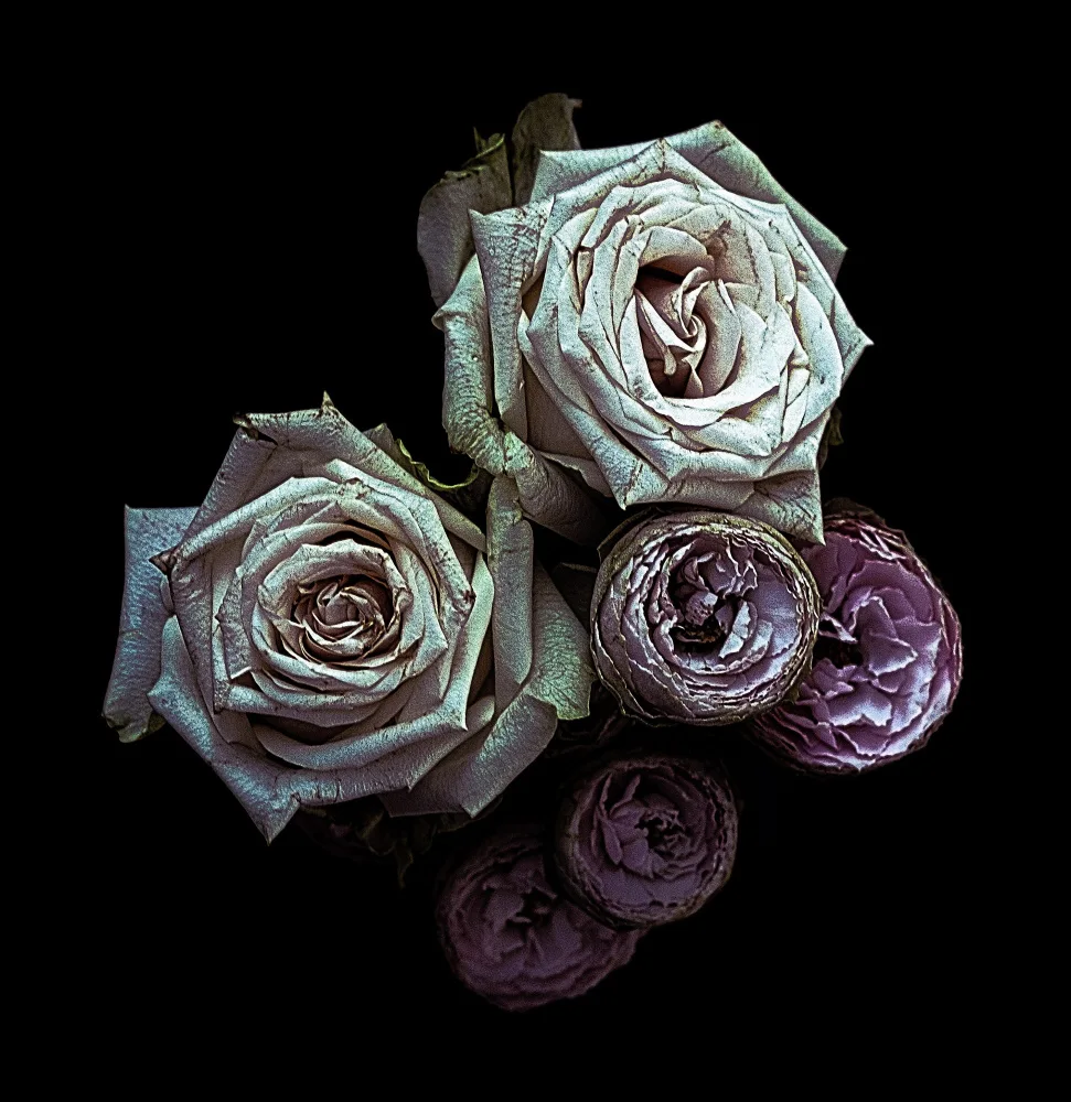 Julie, Angel: Des roses