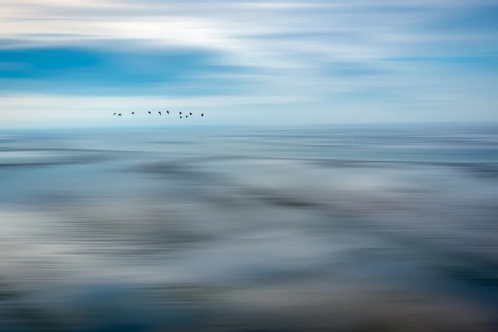 Haaksma, Piet: Fly away