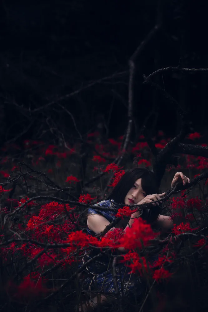 Sonokawa, Jun: Deep forest