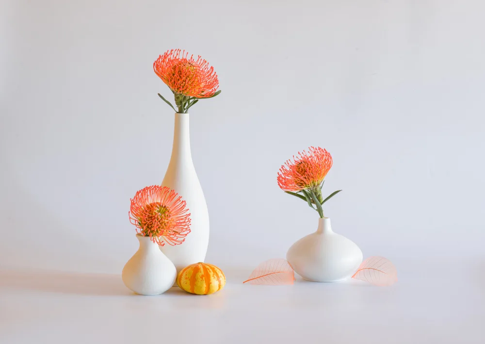 Sheng, Alice: still life 103