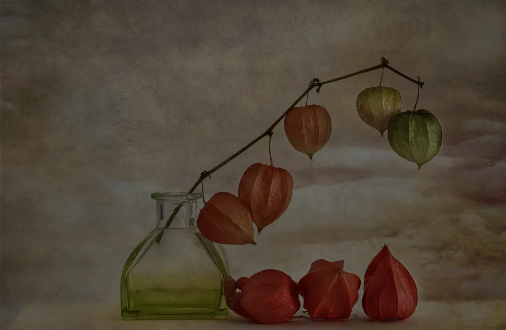 Stas, Marie-anne: Lampions