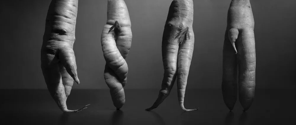 Glinka, Victoria: A still life with carrots. Nothing else...
