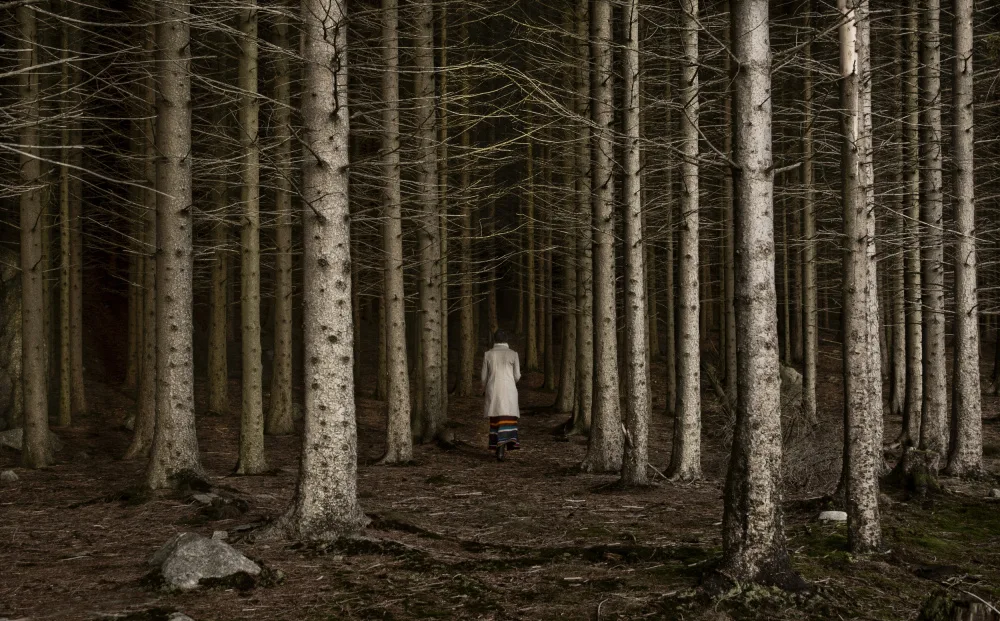 Johansen, Viggo: Into the woods