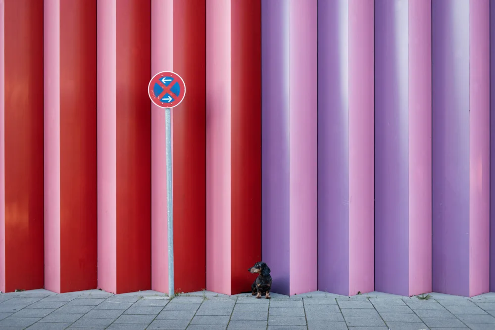 Willers, Heike: No Parking