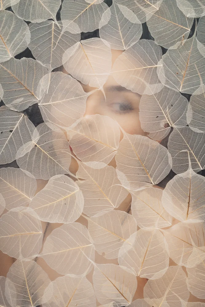 Teslariu, Mihai: BEHIND GLASS